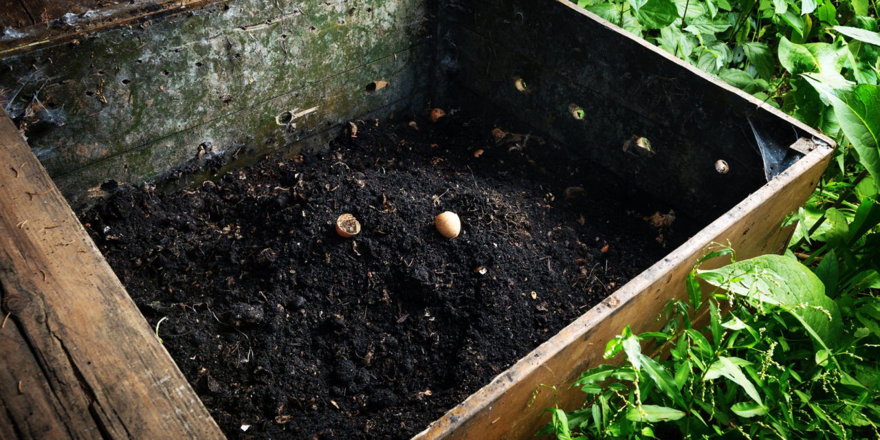 Composting 101