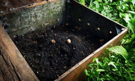 Composting 101