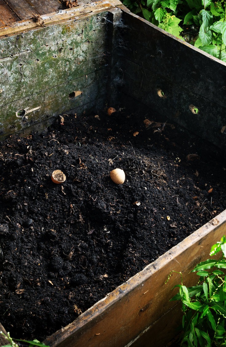 Ready made compost pile in wooden crate