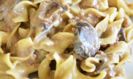 Slow Cooker Stroganoff