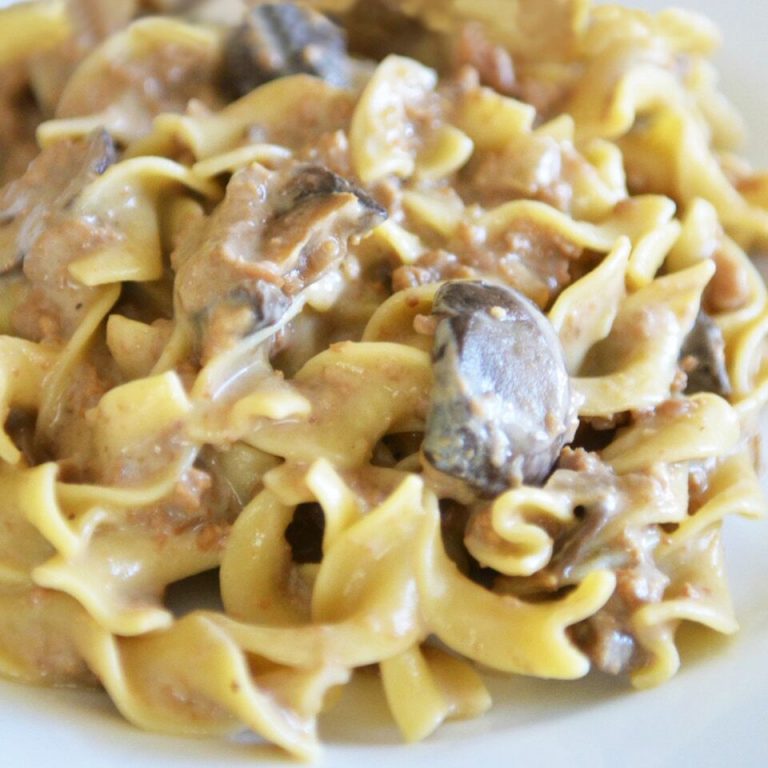 Easy Slow Cooker Stroganoff Recipe 10 Meals in an Hour Recipe