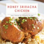 Honey Sriracha Chicken | 10 Meals in an Hour | Food Made Simple | Freezer Cooking | Main Course Meat | Chicken Recipes