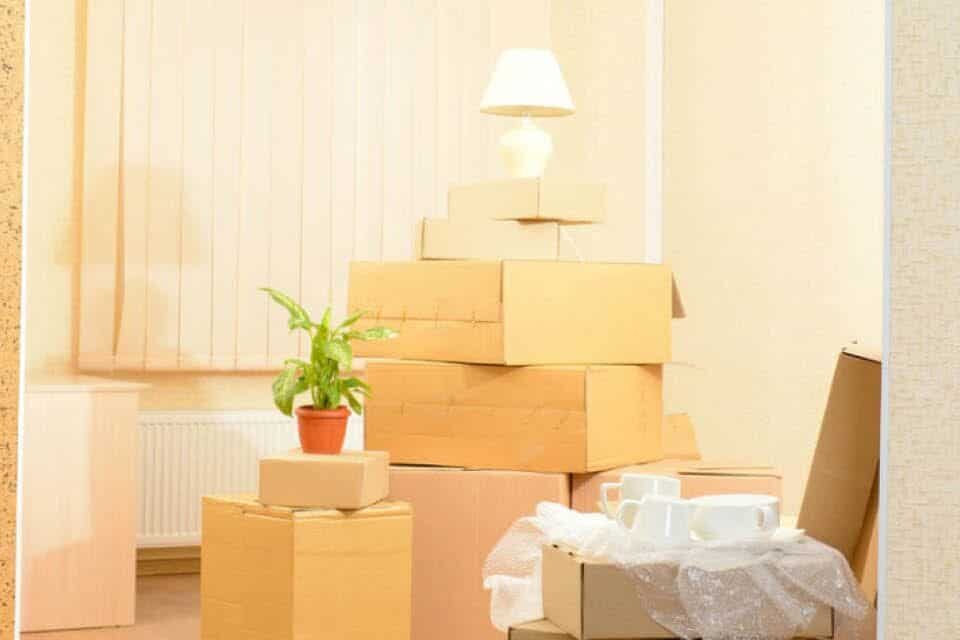 Everything You Need to Know about How to Plan a Big Move