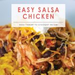 Easy Salsa Chicken | Food Made Simple | Freezer Cooking | Main Course Meat | Chicken Recipe | Simple Salsa Chicken Recipe