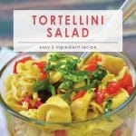 Tortellini Salad | 5 Ingredients or Less | Meatless Meals | Side Dishes | Snacks & Starters