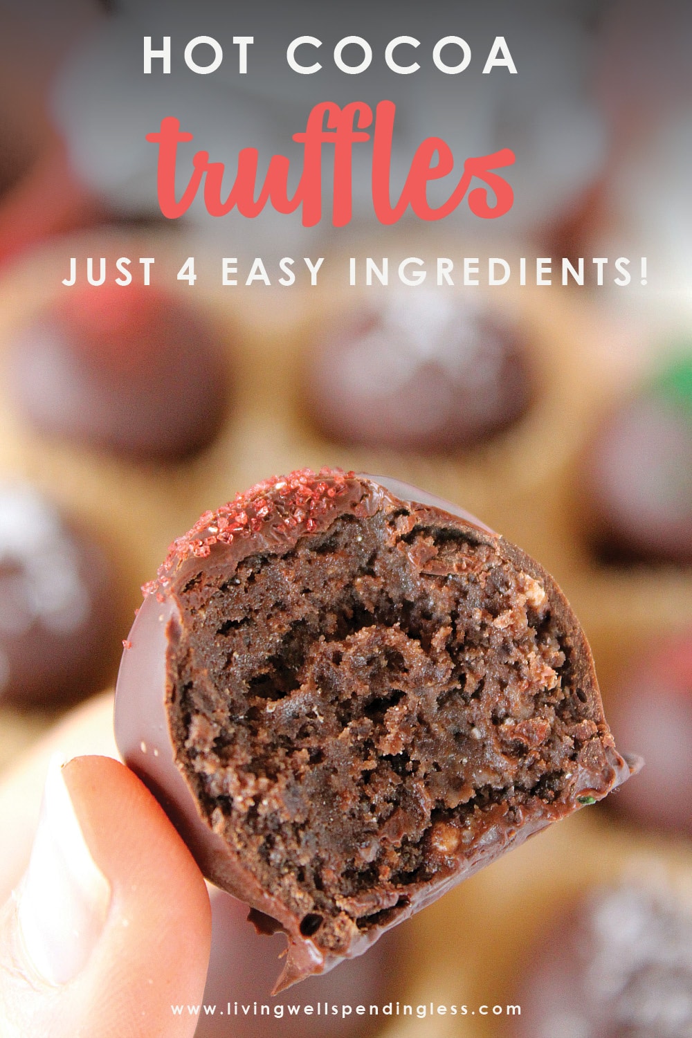 Craving a sweet treat for the holidays? These ridiculously easy Hot Cocoa Truffles come together in minutes with just 4 easy ingredients! Perfect for gifts or just because--and believe us, once you try them, you'll be hooked! #recipes #dessertrecipes #holidayrecipes #chocolaterecipes #trufflerecipes #simplerecipes #5ingredientsorless #giftideas #homemadegifts #holidays