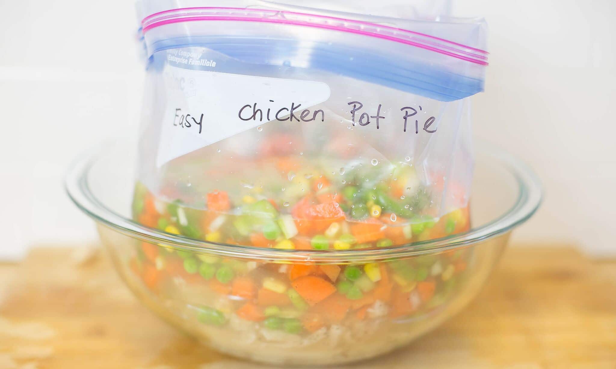 Divide chicken, stock and veggie mixture into 2 gallon size freezer bags 