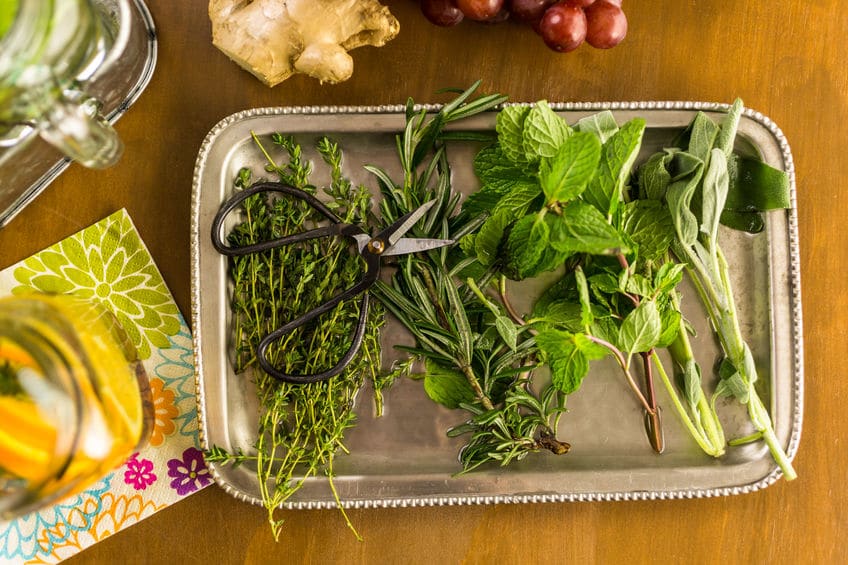 Fresh herbs lying on a silver platter. 