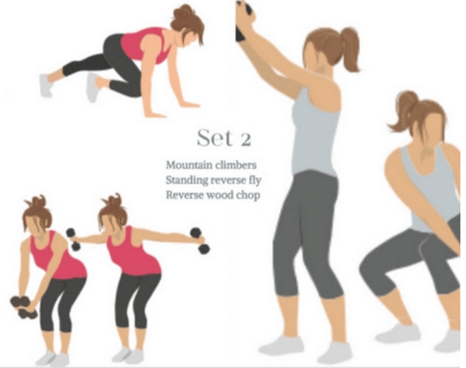 Set 2 of quick workouts at home works your whole body!