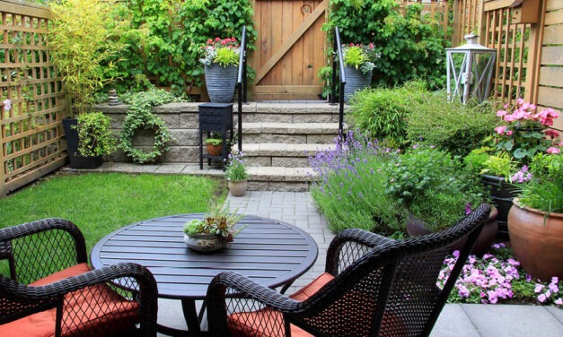 Simple Ways to Spruce Up Your Yard and Patio (Without Spending a Fortune)