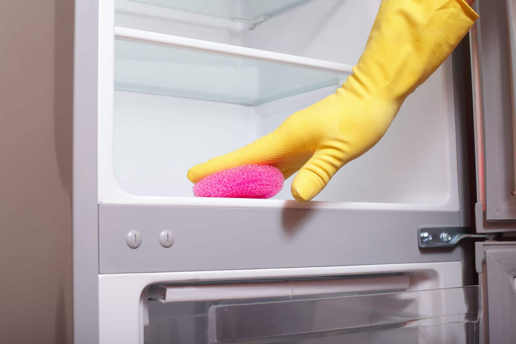 Spring clean your kitchen by scrubbing your fridge and freezer. 