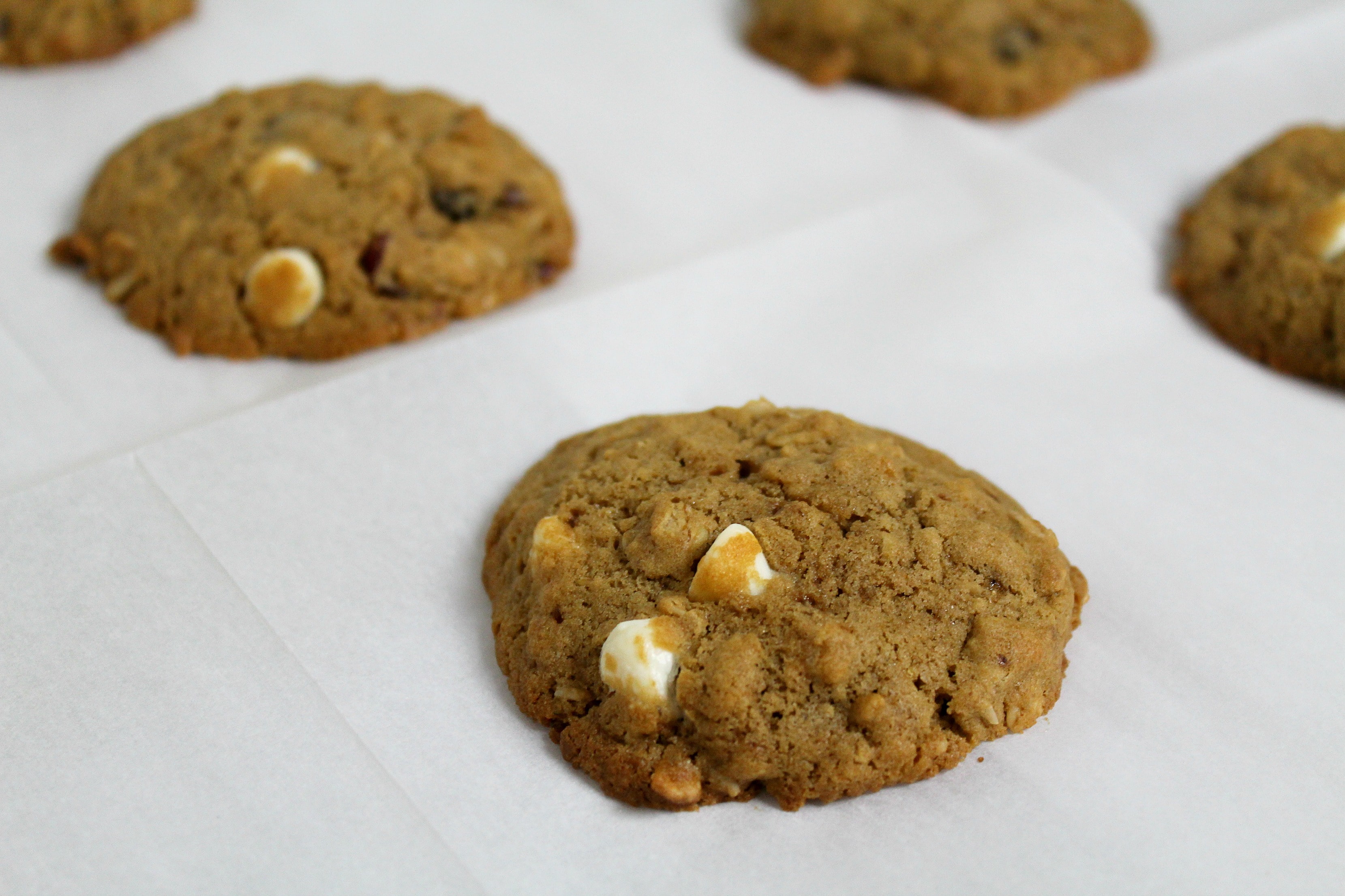 Gluten Free Oatmeal Craisin Cookies