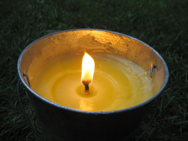 Burning citronella candles in your yard will help keep bugs away during your party. 