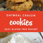 Nothing says love like soft oatmeal cookies. Tangy dried cranberries, sweet white chocolate chips and chewy oatmeal come together for a cookie so good, you'll never believe it's gluten-free! It might just be the perfect cookie!