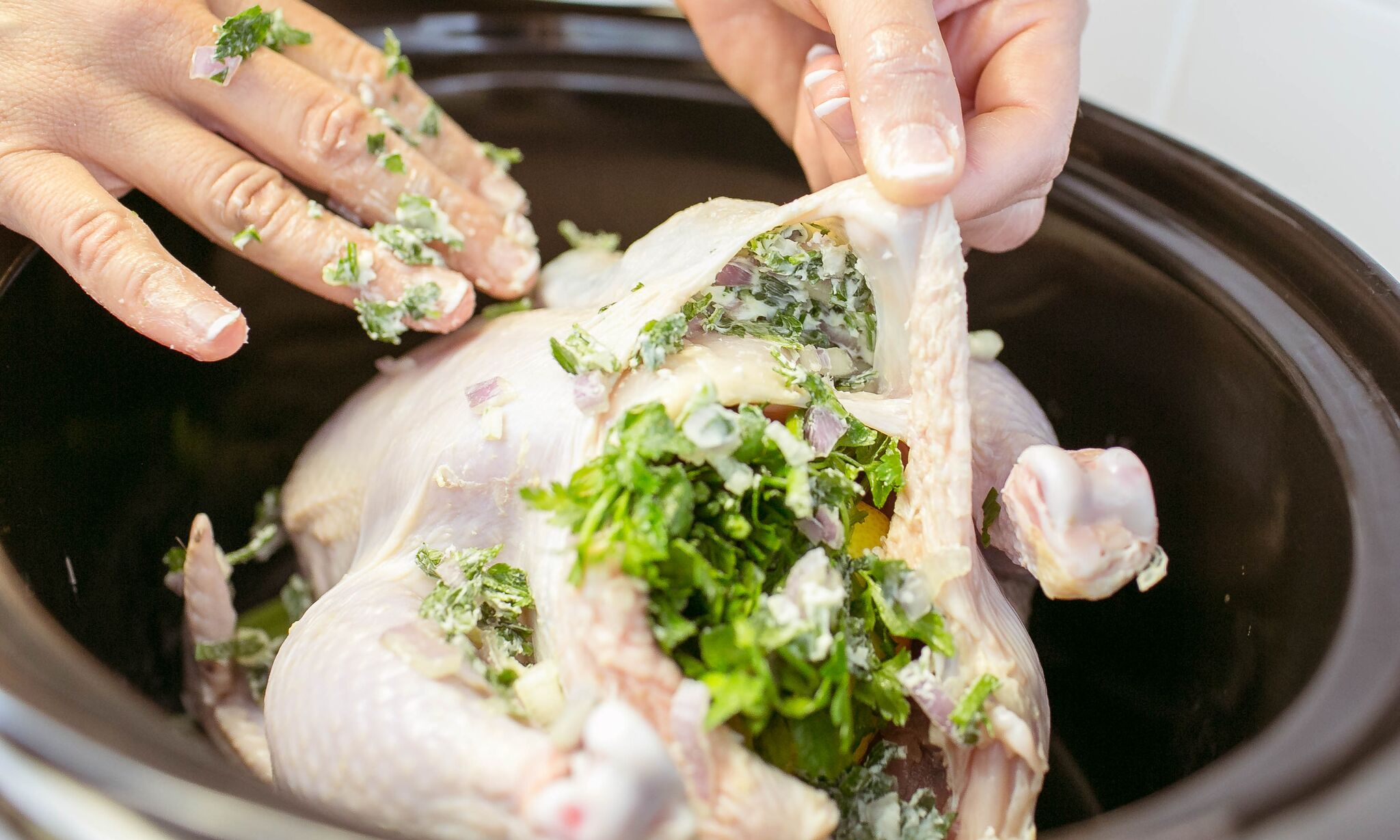 Stuff chicken with cutter mixture and set on top of celery. 