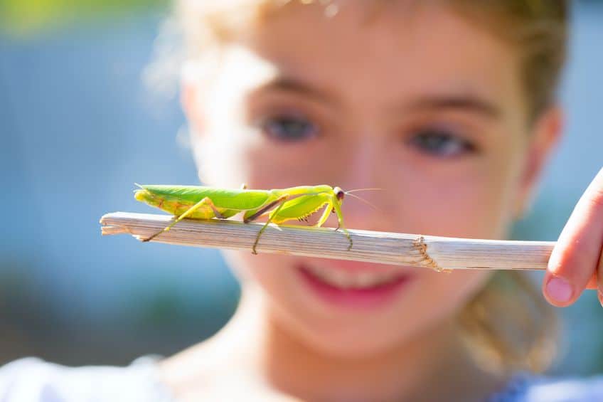 Kid Friendly Summer Fun