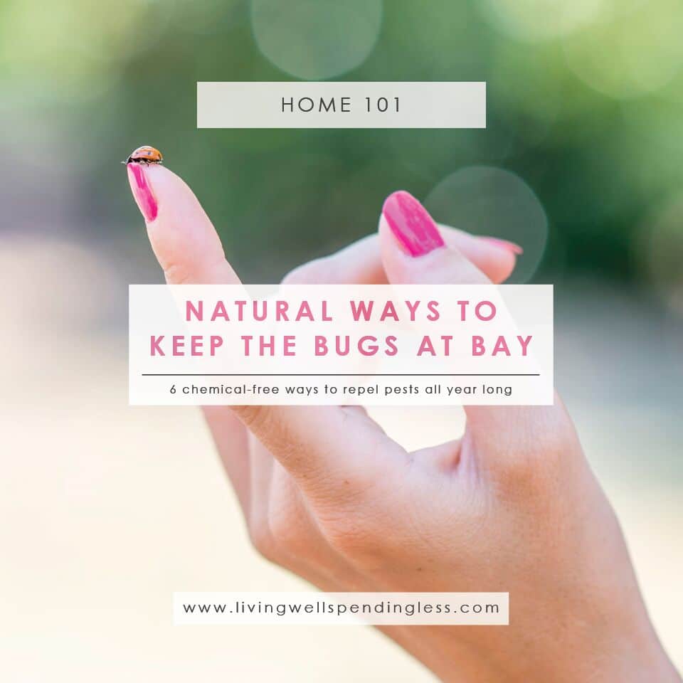 How to Keep Bugs Away Natural Repellants Living Well Spending Less
