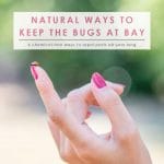 Natural Bug Repellant | Summer Tips | All Natural Solutions | Gardening Tips to Keep Bugs Away