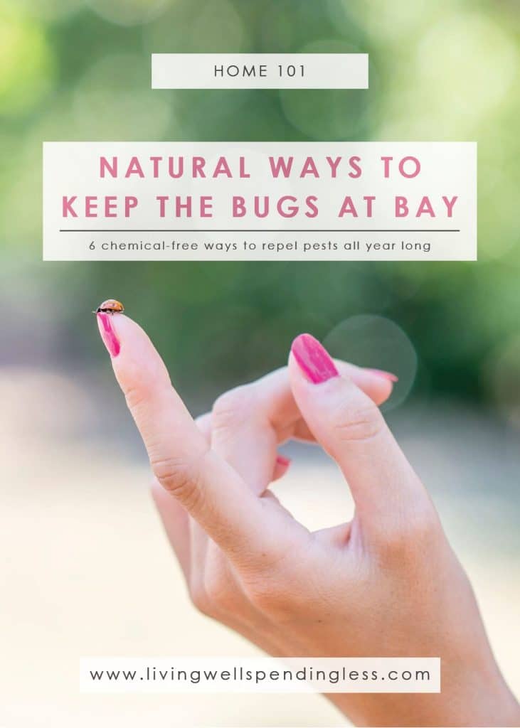 how-to-keep-bugs-away-natural-repellants-living-well-spending-less