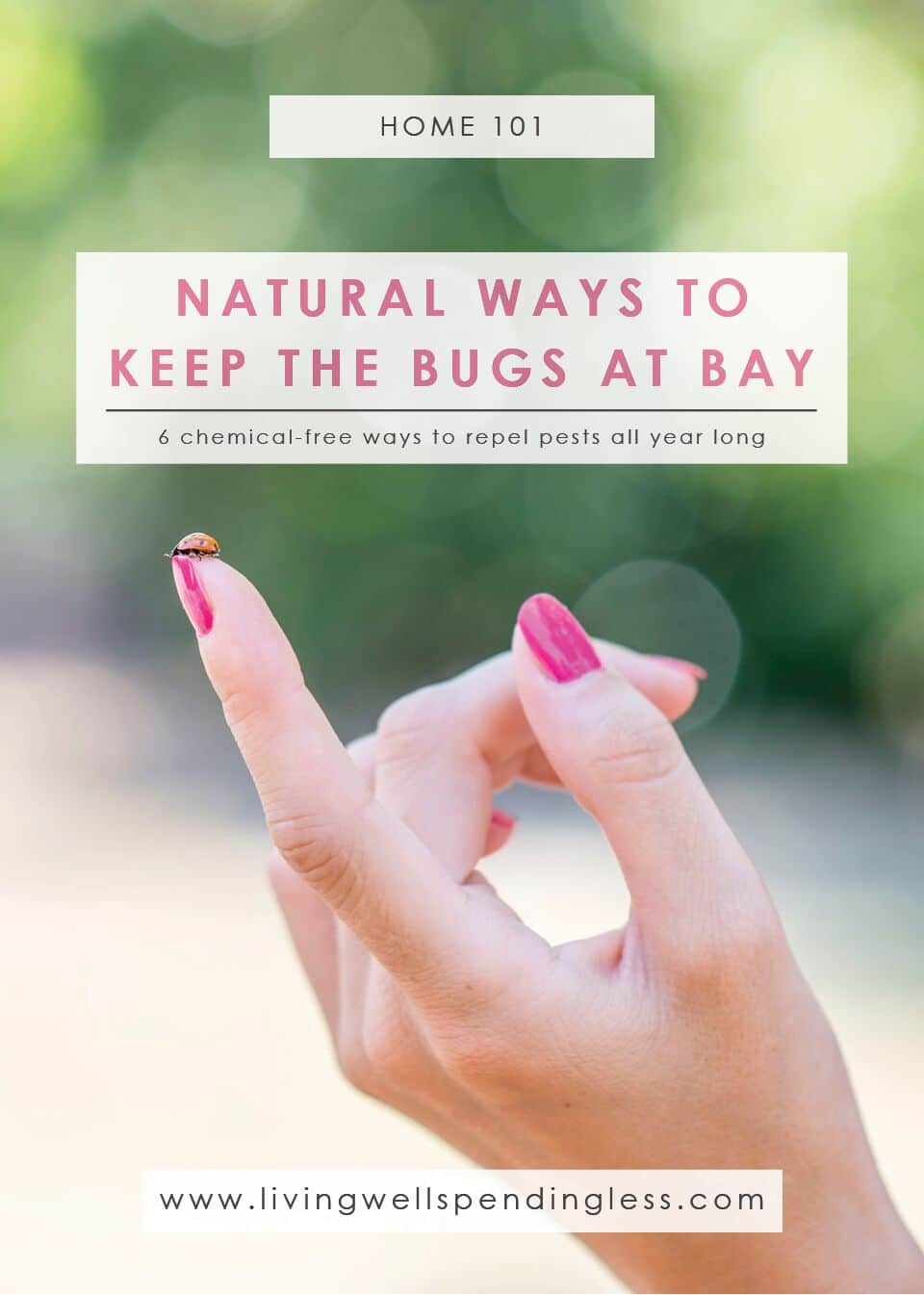 Natural Bug Repellant | Summer Tips | All Natural Solutions | Gardening Tips to Keep Bugs Away