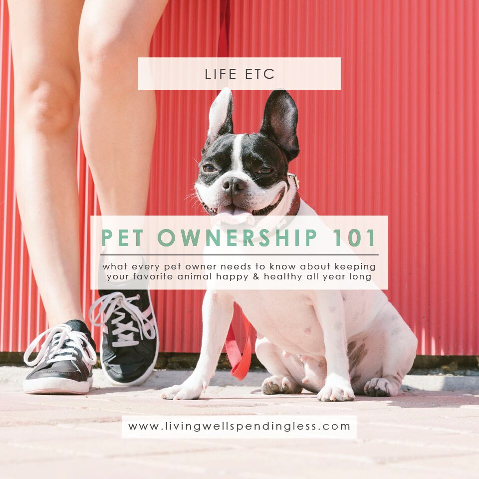 Pet Ownership 101 Keep Your Pet Healthy All Year Long