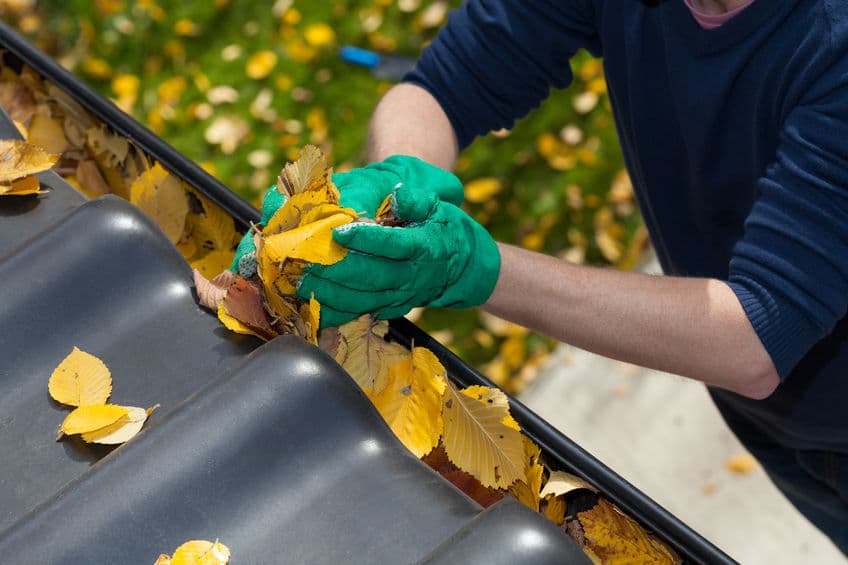 Man cleaning leaves out of his home's gutters. 