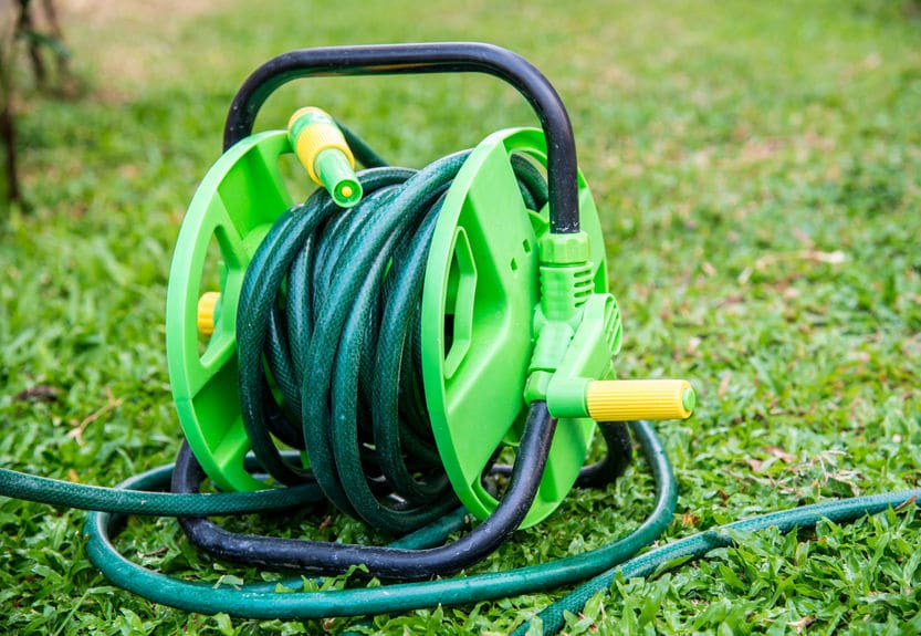 An outside hose rolled up on grass. 