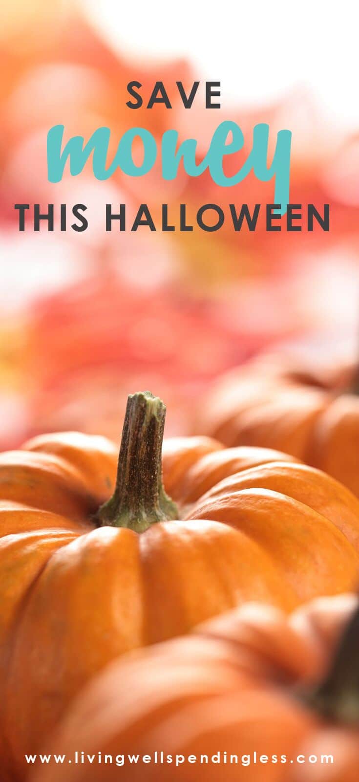 Halloween | Smart Money | Save Money | Budget | Costumes | Halloween Candy | Pumpkin Carving | Family Fun | Cheap Halloween Ideas