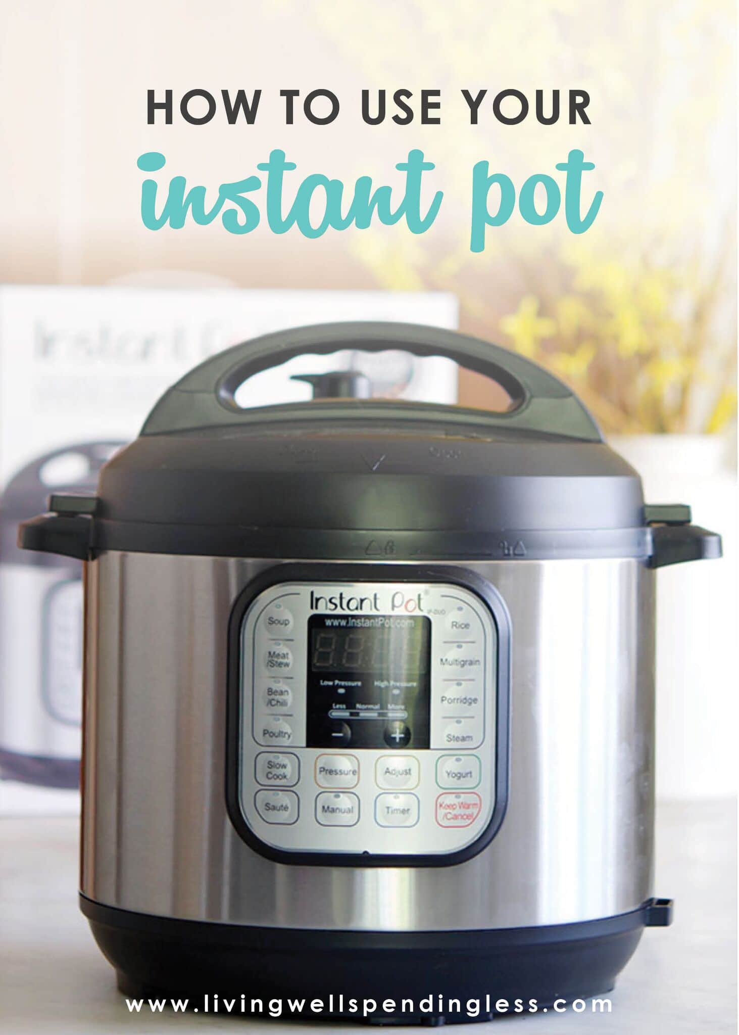 Instant Pot 101 How to Use Your Instant Pot Guide for