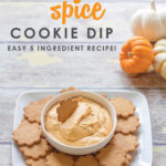 Bring on the pumpkin spice! This ridiculously easy Pumpkin Spice Cookie Dip will give you all the flavors of fall with (almost) none of the effort. It's no bake, one bowl, just 5 ingredients, comes together in minutes, and is absolutely to-die-for delicious! Perfect for parties or just because! #recipes #pumpkinrecipes #fallrecipes #easyrecipes #5ingredientrecipes #pumpkinspice