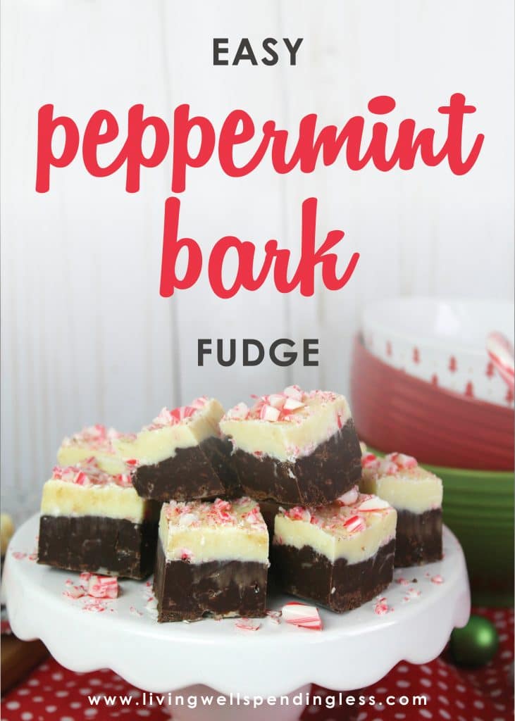 Who needs more peppermint and chocolate in their life? Then this festive holiday dessert is for you! It will not only help everyone get into the holiday spirit, but it's so easy no one will believe you didn't spend all day making it.