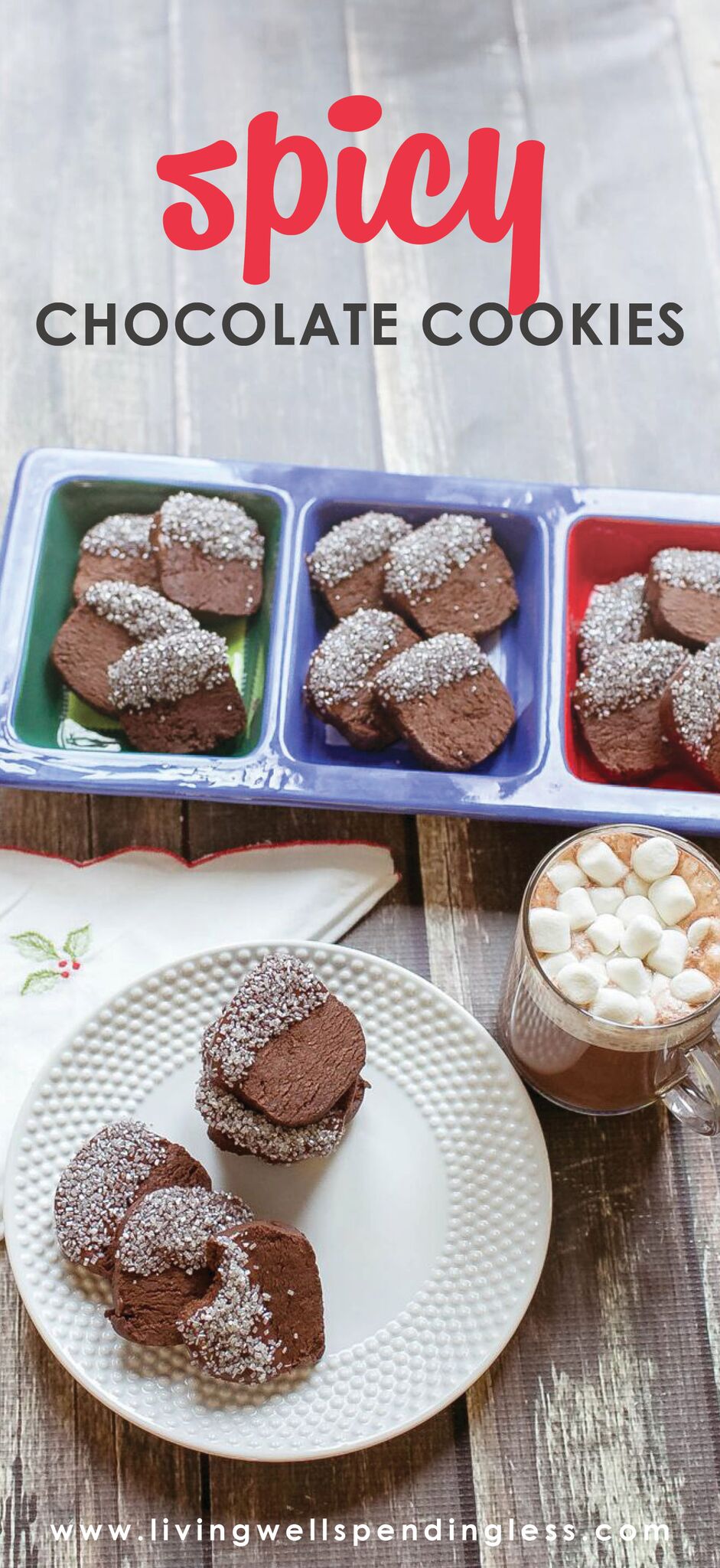 Spicy Chocolate Cookies⎢Unique Dessert Recipes⎢Sweet and Spicy⎢Food Made Simple⎢Balanced Flavors