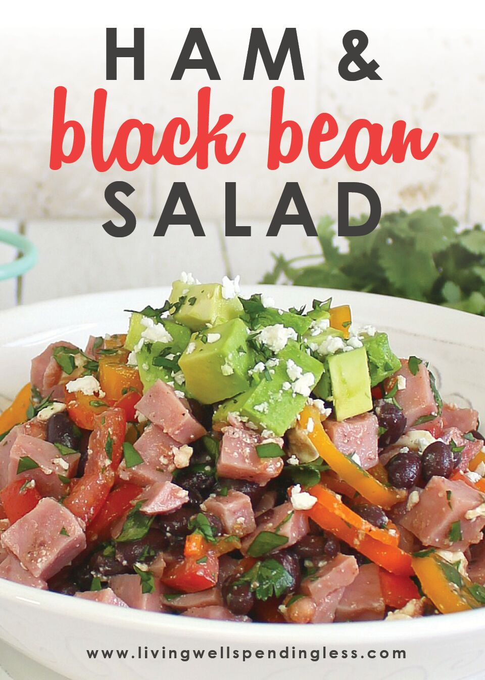 Fresh Ham and Black Bean Salad 