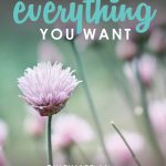 How to Have Everything You Want | How to Love Your Life | How to Have a Life You Love | Attitude of Gratitude