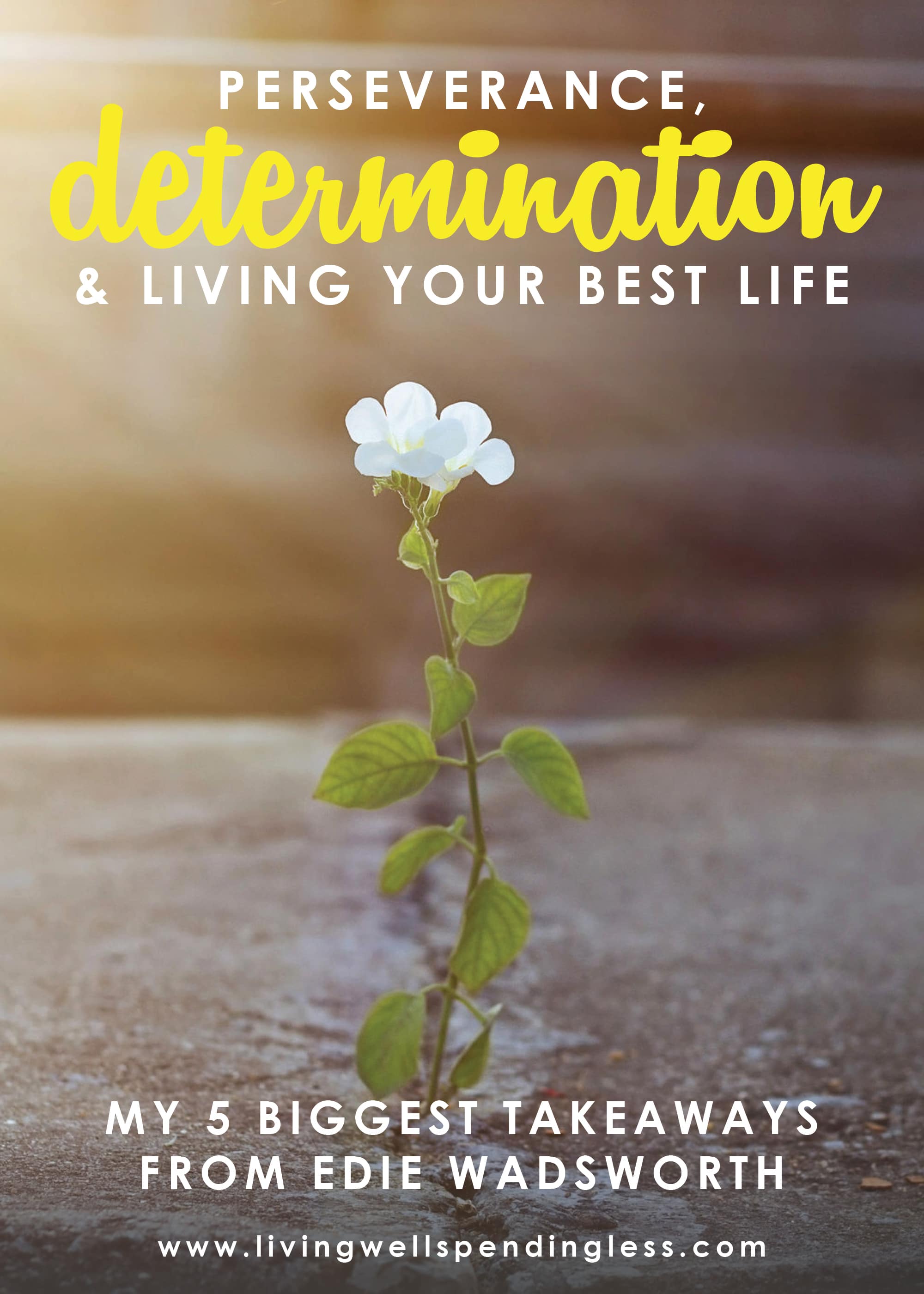 Life isn’t easy. But can you imagine how boring everything would be if it was? On Ep #10 of the Do It Scared Podcast™, Dr. Edie Wadsworth, shares just how dark and difficult life can be. But that’s never stopped her from taking chances & following her heart! #doitscaredpodcast #ruthsoukup #ediewadsworth #doitscared