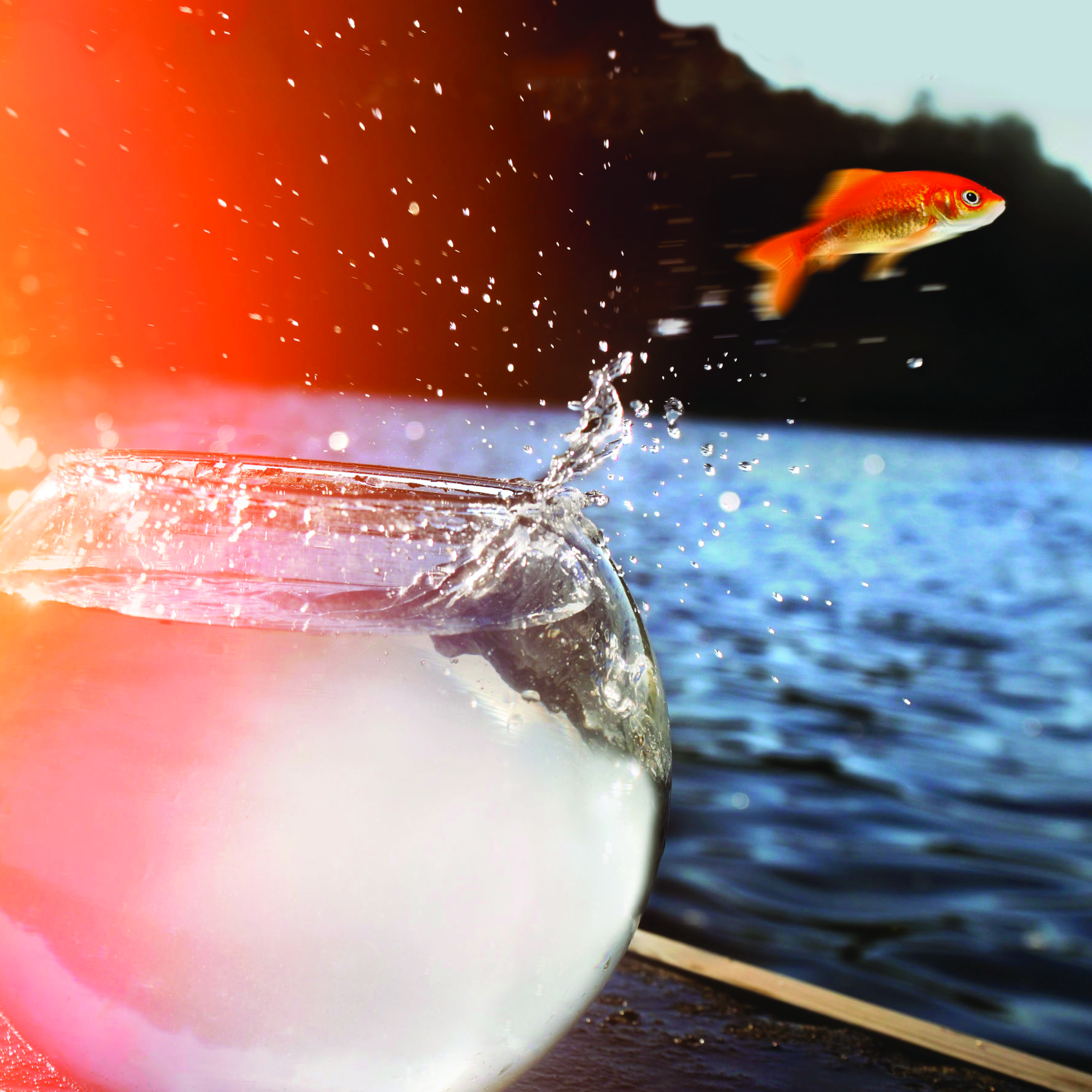 Does your goal give you the chills? Are you ready to set goals that get you excited for life?
