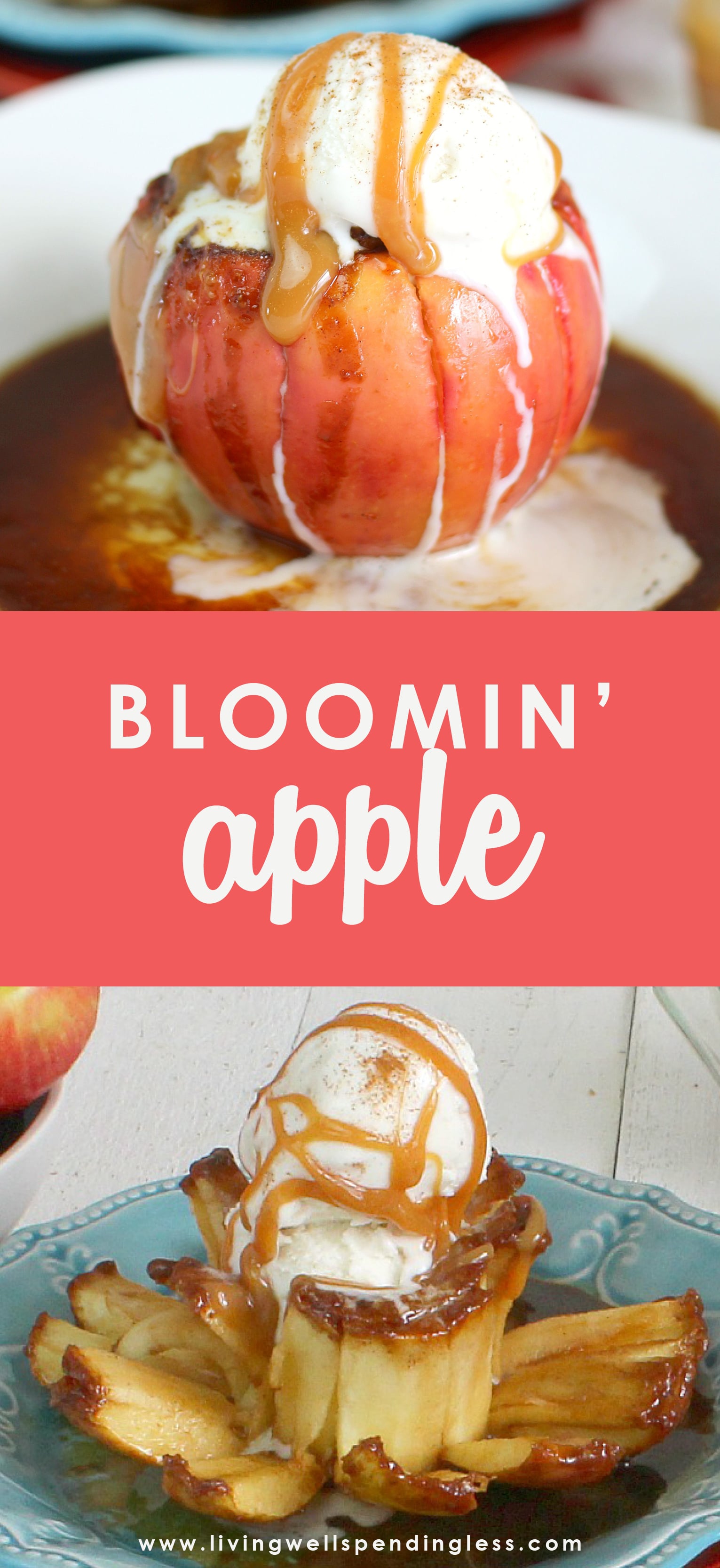 Looking for a last minute dessert recipe to wow your friends? This recipe may be new to you, but I'm sure we're all familiar with blooming onions from a popular restaurant in most of our towns. This Bloomin' Apple recipe is basically the same concept and uses just 5 delicious ingredients and very little effort!