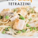 Got turkey leftovers? This Turkey Tetrazzini recipe is one creamy, comforting, and easy to make casserole recipe that will delight your whole family!
