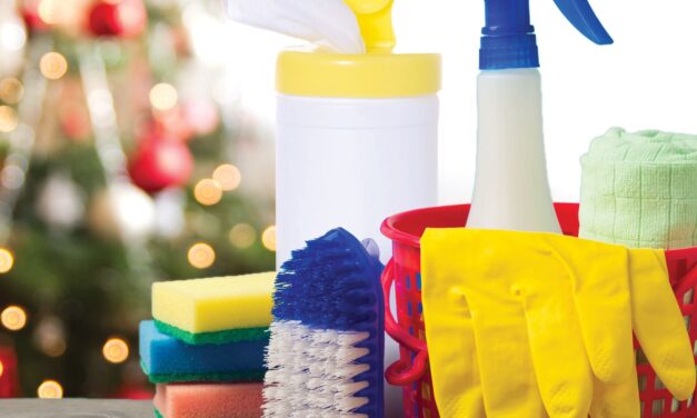 Ho Ho HELP!  How to Speed Clean this Holiday Season (Even if You Have to Cheat Just a Little)