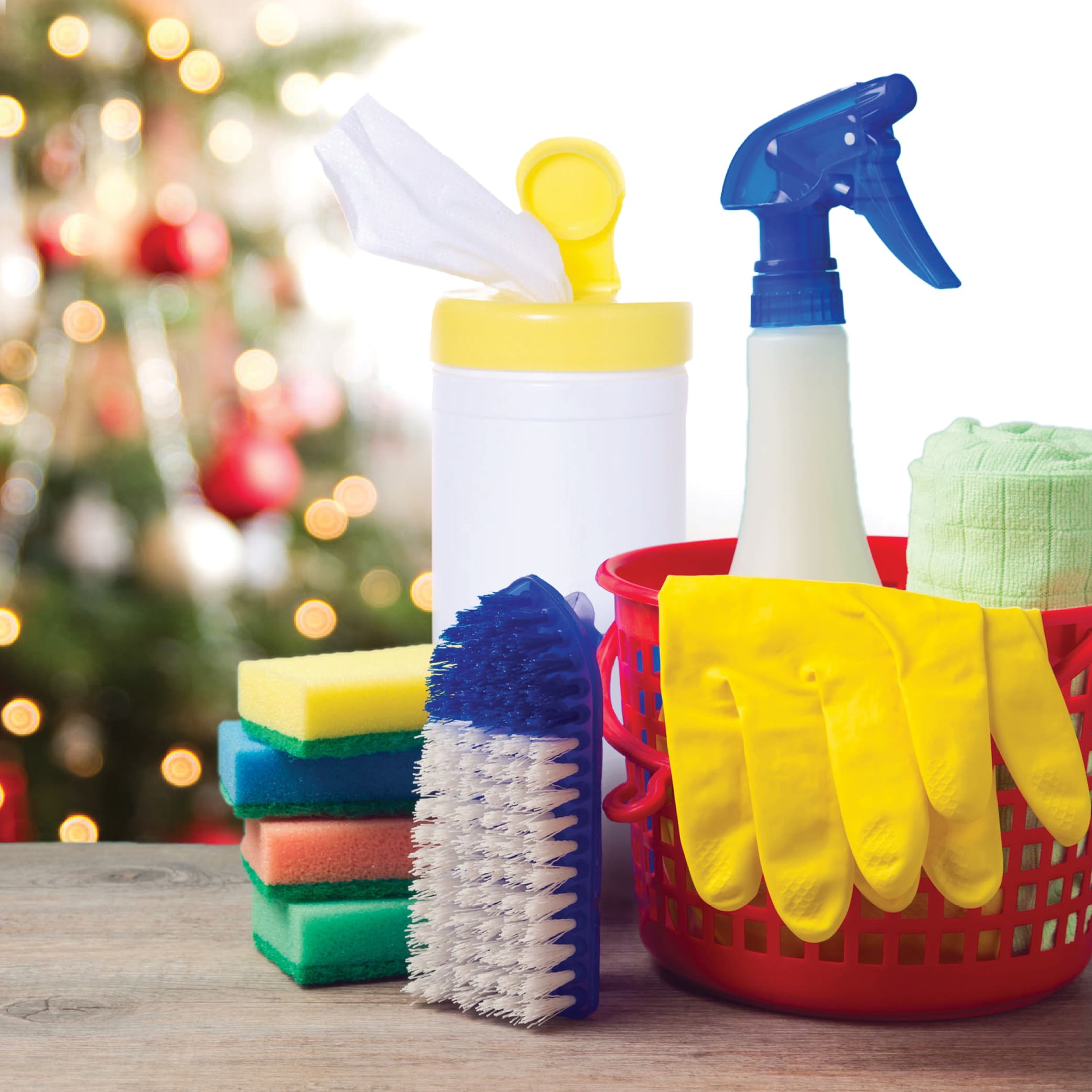 Update_Speed-Cleaning-For-The-Holidays-SQUARE22.jpg (2083Ã2083)