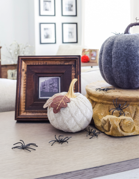 Add some spooky fun to your home with these plastic spiders.