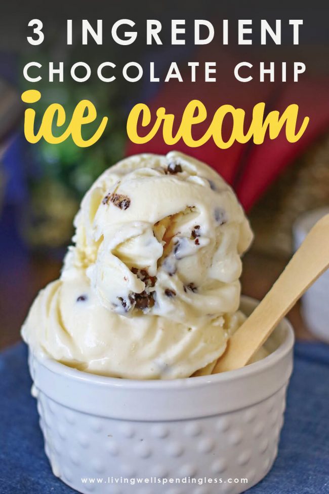 Craving a sweet treat? You seriously won't believe how easy it is to make this 3 ingredient chocolate chip ice cream with NO special ice cream maker required! 