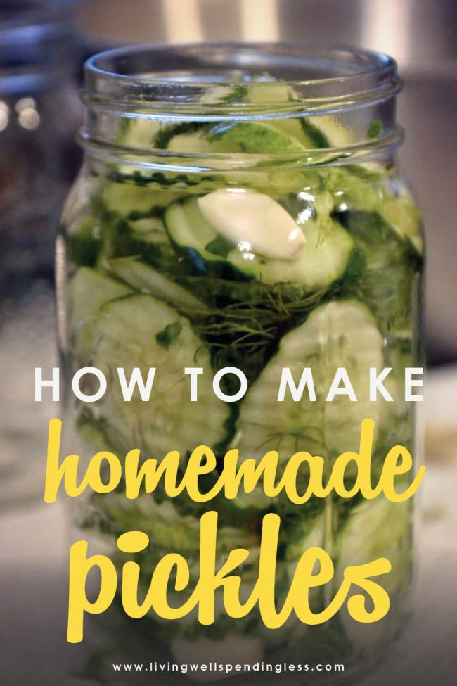  Looking to make homemade pickles? This awesome step-by-step tutorial is SO easy to follow, even if you've never made them before! 