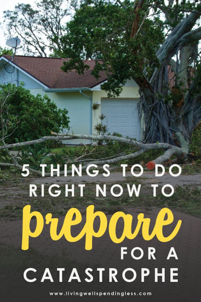 Would you be ready if disaster struck? Don't miss these five simple steps to prepare for a catastrophe or emergency....just in case. #survivaltips #catastrophe #survival101