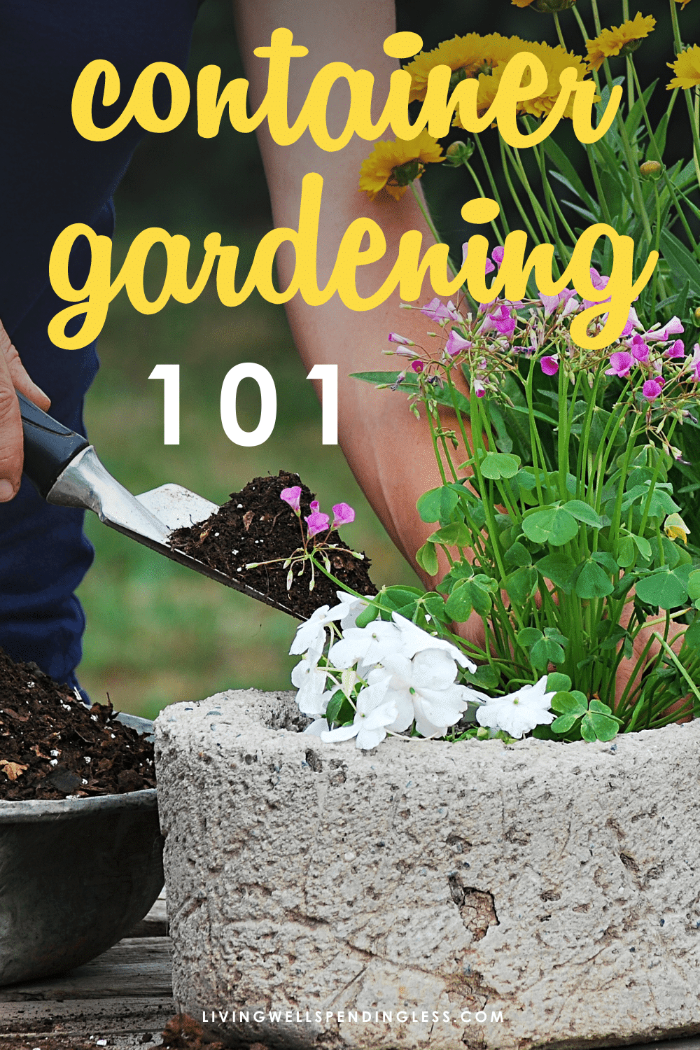 Container Gardening for Beginners