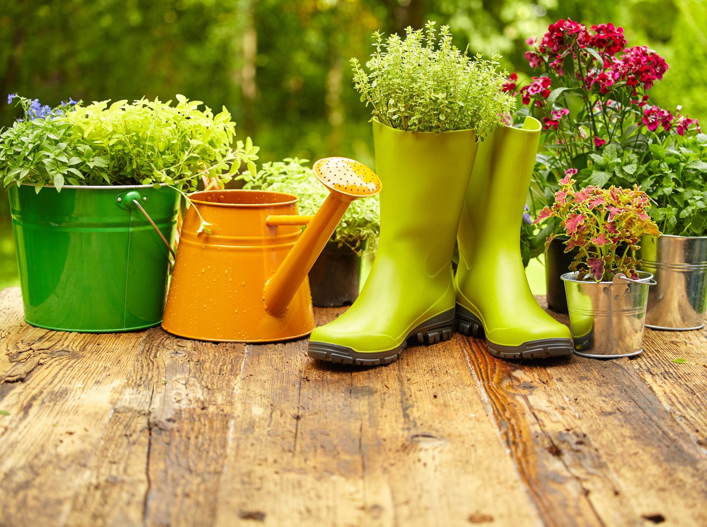 Spring Is Coming! Are You Ready?