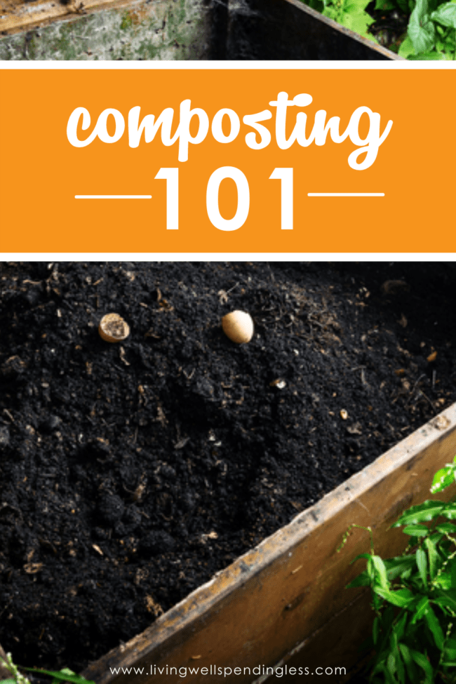 https://www.livingwellspendingless.com/wp-content/uploads/2022/03/Composting-101-Pin-650x975.png