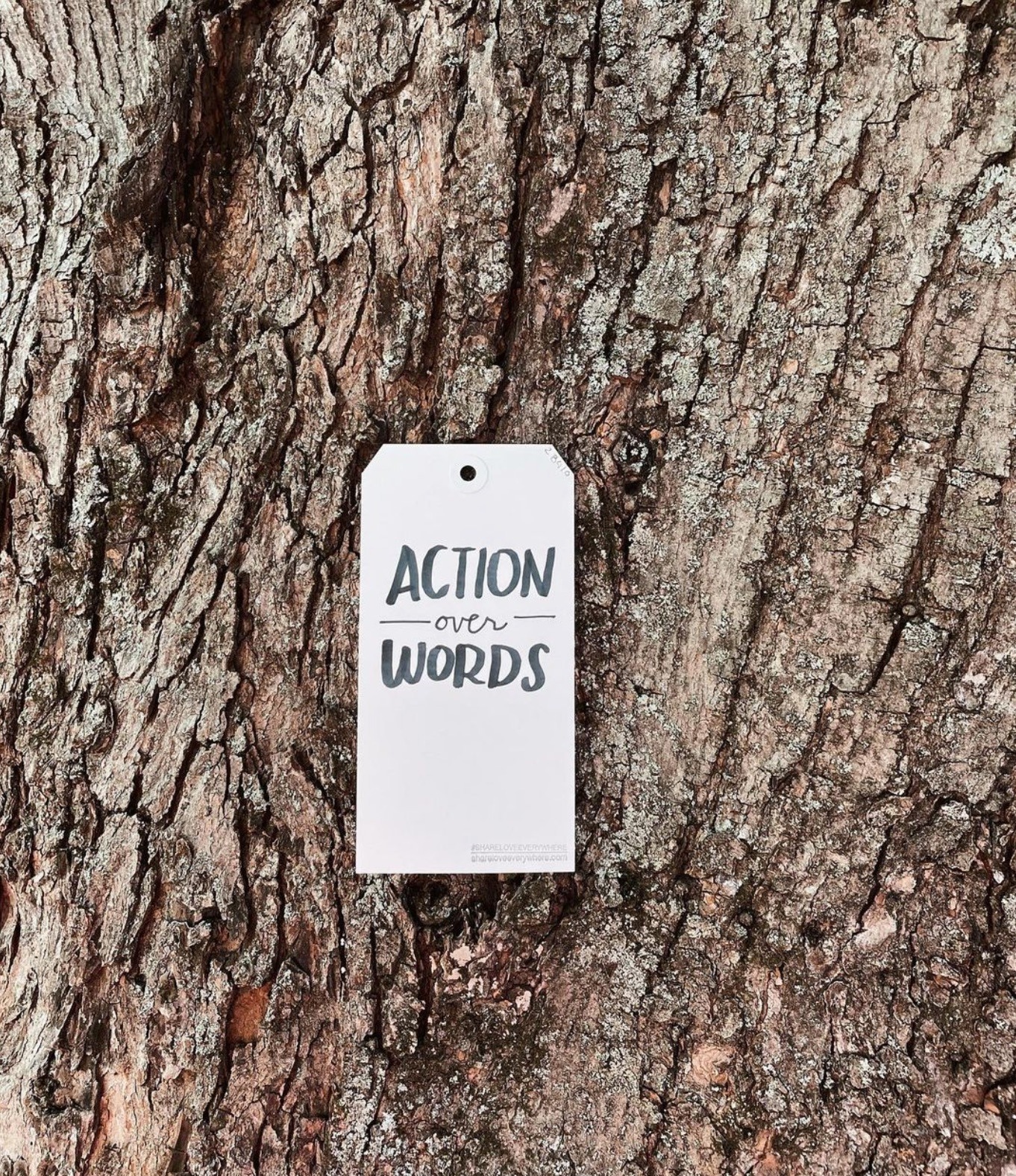 The One Thing that’s Better than Love (Kindness Makes a Comeback)